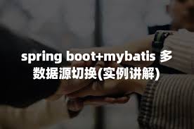使用Spring Boot和MyBatis配置多数据源