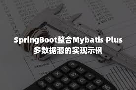 使用Spring Boot和MyBatis Plus配置多数据源